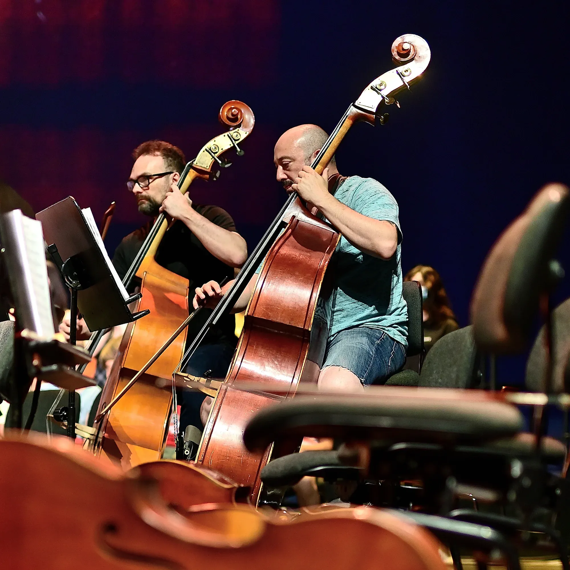 Músics tocant el contrabaix en una orquestra