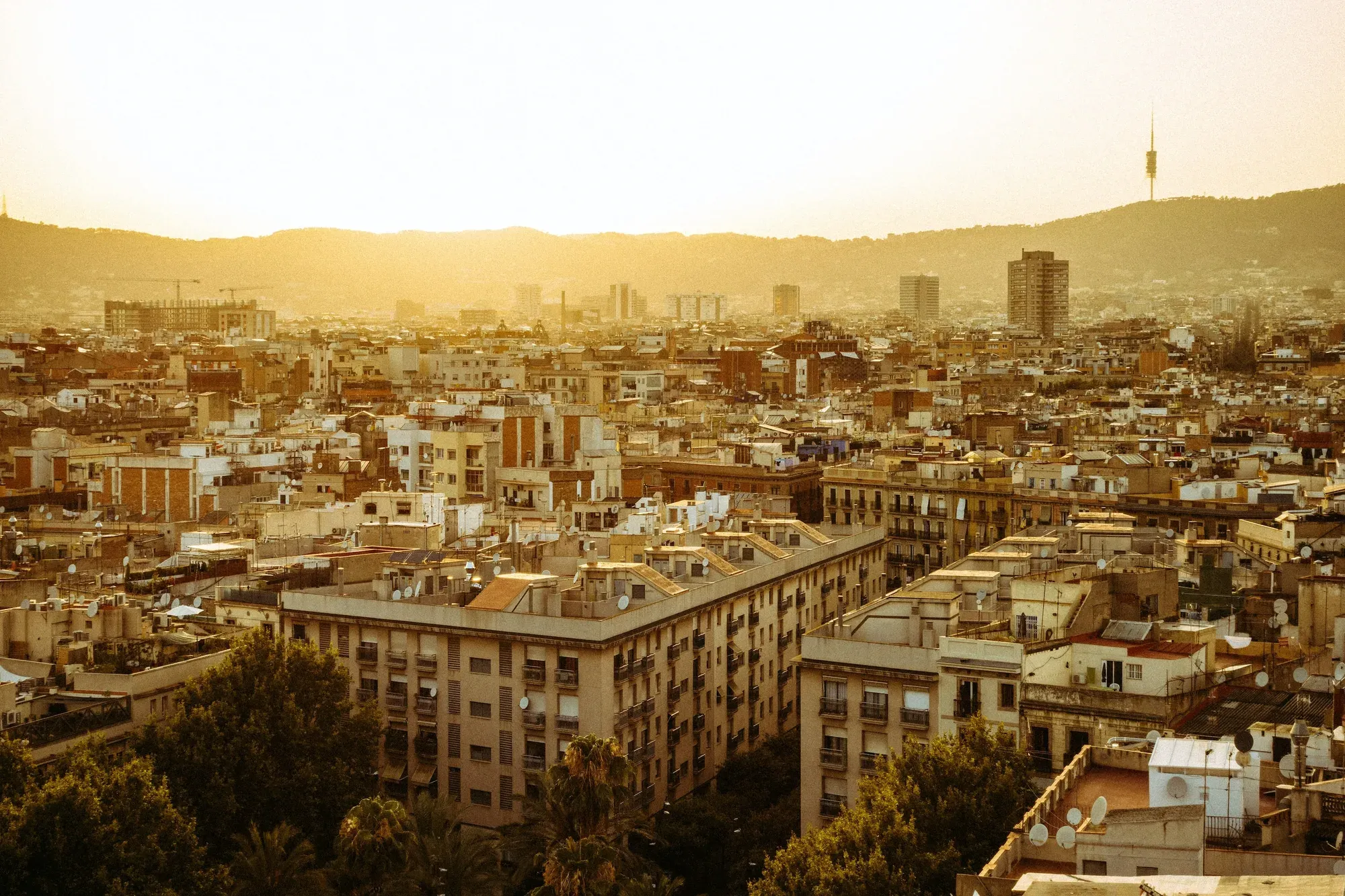 Teulades de Barcelona al capvespre amb Collserola al fons