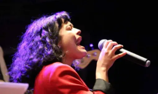 Cantant actuant amb micròfon